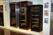 020-IFA-2013